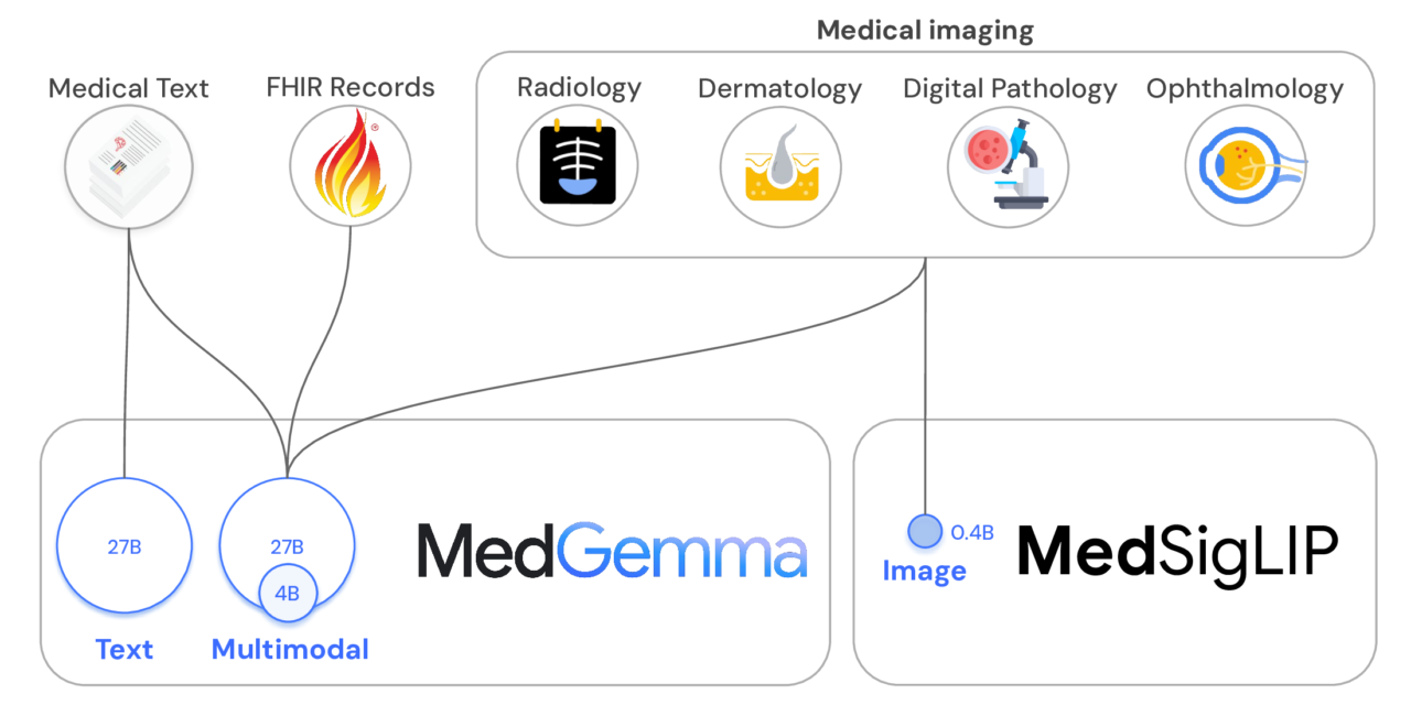 MedGemma: Our most capable open models for health AI development
