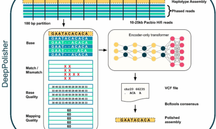 Highly accurate genome polishing with DeepPolisher: Enhancing the foundation of genomic research