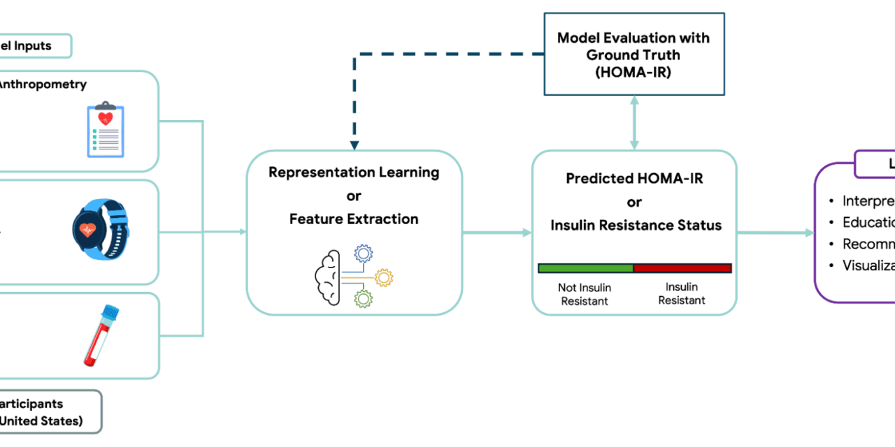 Insulin resistance prediction from wearables and routine blood biomarkers
