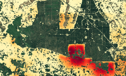 Forecasting the future of forests with AI: From counting losses to predicting risk
